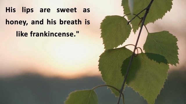 English Short Stories The Nightingale And The Rose Oscar Wilde With Lyrics  #shortstory #oscarwilde