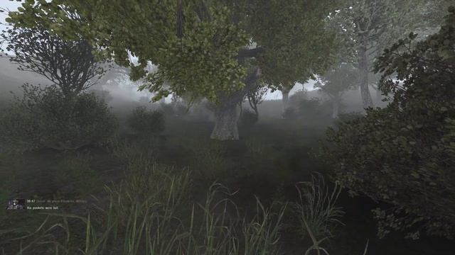 Why Blindside Reanimation is the Number One Addon for STALKER Anomaly смотреть онлайн