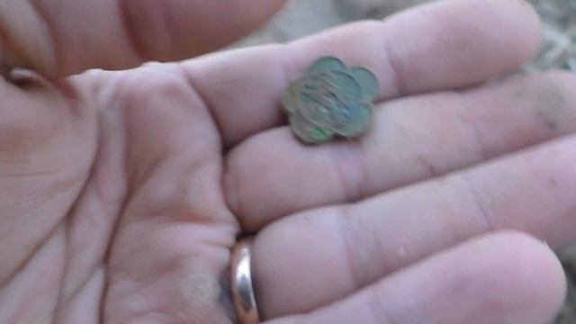 День удался редкая монета жирное место смотреть онлайн