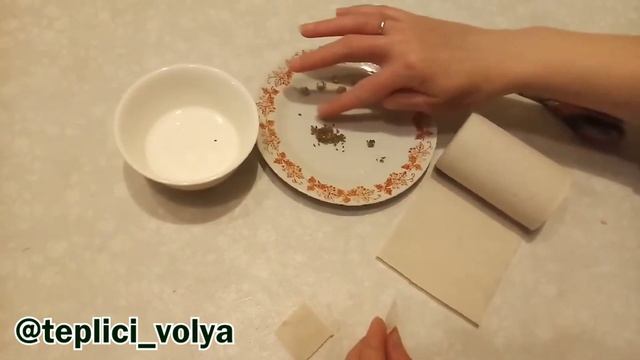 Один из способов подготовить семена моркови к посеву смотреть онлайн