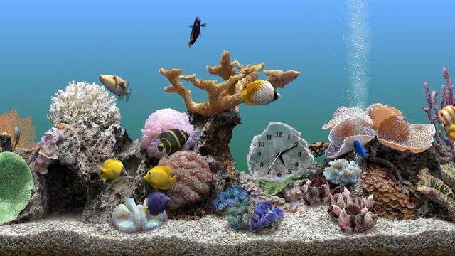 Красивый 3D Аквариум с музыкой для релаксации.