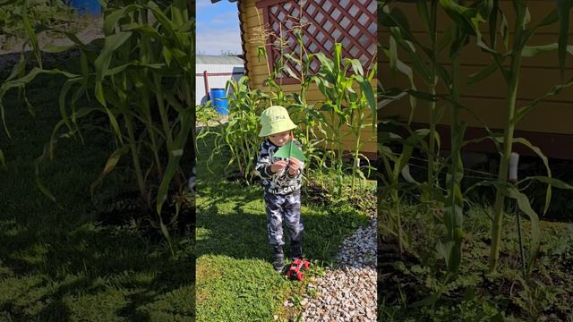 Дыхательная гимнастика