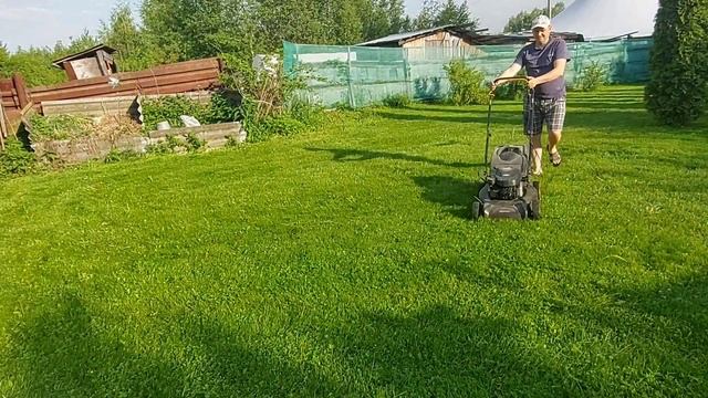 Теперь влага с грядок не испаряется и сорняки не ростут. Мульчивание газонной травой смотреть онлайн