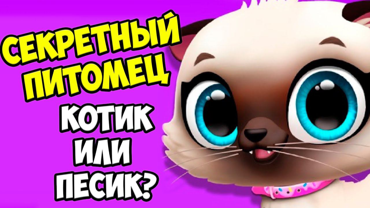 СЕКРЕТНЫЙ ПИТОМЕЦКотенок или собачка? Ухаживаю за малышами FLOOF