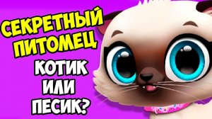СЕКРЕТНЫЙ ПИТОМЕЦКотенок или собачка? Ухаживаю за малышами FLOOF