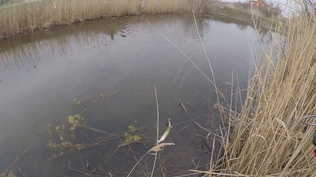 щука клюёт в любую погоду,Рогожкино смотреть онлайн