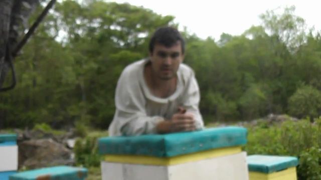 Как сделать противороевые отводки! Деление семей! смотреть онлайн