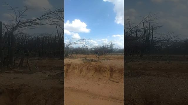 Camino al Cabo de la Vela, La Guajira, Colombia(8) смотреть онлайн