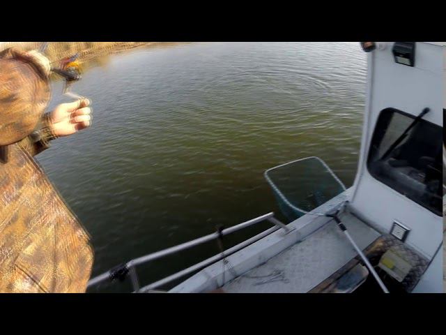 Красивая щука смотреть онлайн