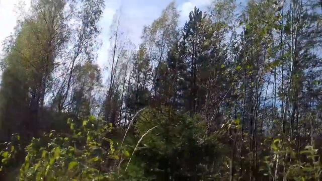 На Великий Мох за клюквой смотреть онлайн