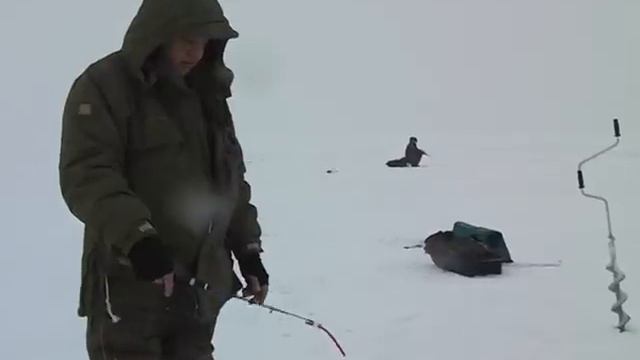 NELMA смотреть онлайн