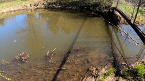 Рыбалка в Спб .Река каменка (начало сезона)