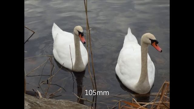 Panasonic Lumix DMC FZ70/FZ72 Photo & Video Samples смотреть онлайн