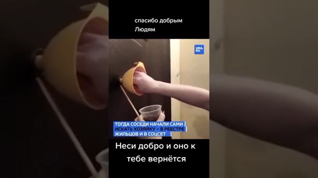 Соседи с большой буквы. смотреть онлайн