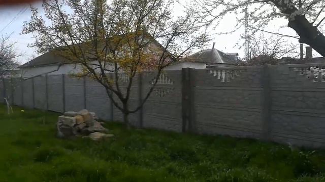 Весенний Крым. Цветение деревьев. смотреть онлайн