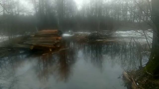 Пасхальный Шатур и змеиный камень смотреть онлайн