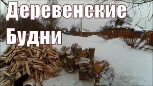 Деревенские Будни // Март, новости, хозяйство