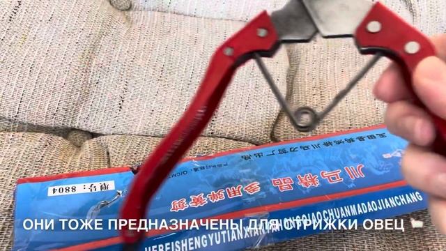 НОЖНИЦЫ ДЛЯ СТРИЖКИ ОВЕЦ!? И ДЛЯ САМШИТОВ ТОЖЕ! ? ЗАКАЗАНЫ НА JOOM ✂️ смотреть онлайн