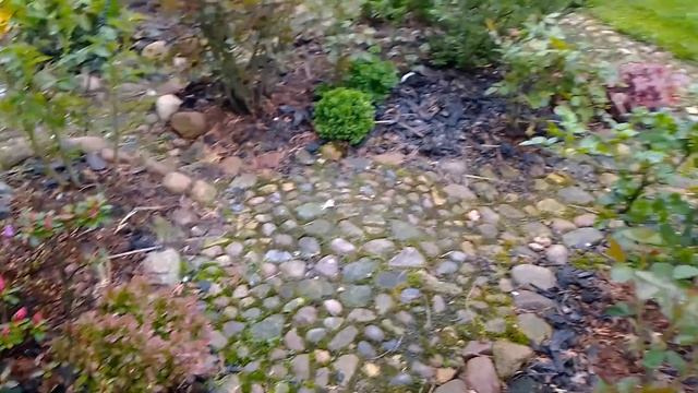 19 мая 2021 г. смотреть онлайн