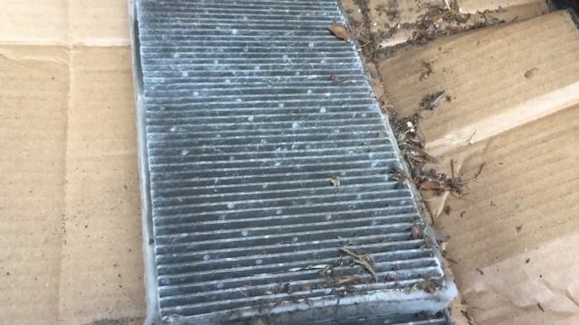 Chevrolet Truck Cabin Air Filter Replacement смотреть онлайн