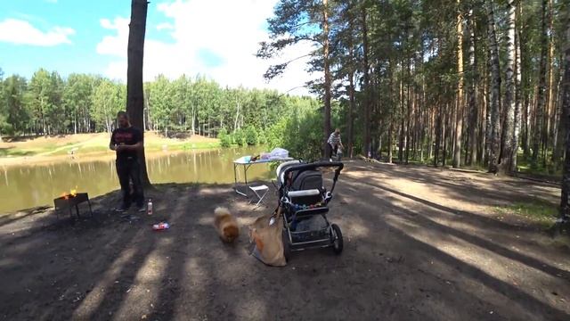 ВЛОГ | ПОТЕРЯЛИ СОБАКУ | ПИКНИК В ЛЕСУ #часть1 смотреть онлайн