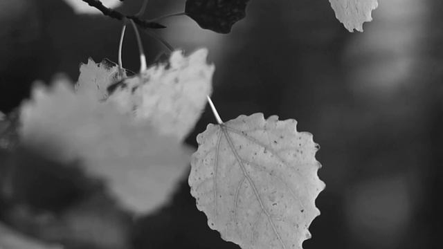 26 ноября Иоанн Златоуст Что нельзя делать 26 ноября Народные традиции и приметы