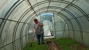 Живое земледелие 29