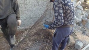 какая  нужна  сетка  для  скульптур  из  арт  бетона, оформление  забора  и цветника на  даче.