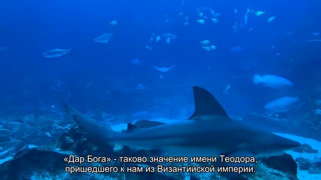 Значение имени Теодора. Толкование, судьба, характер смотреть онлайн