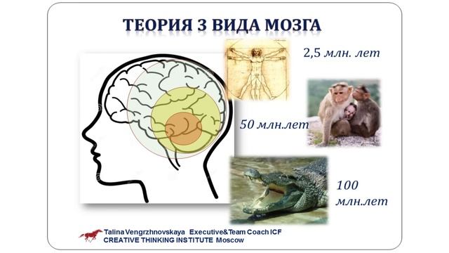 Введение в коучинг (часть первая). Что такое коучинг? Основы