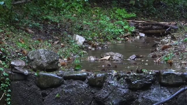 The Sound Of Rain In The Forest Valley. Sleep-inducing ASMR With White Noise. Beat Insomnia
