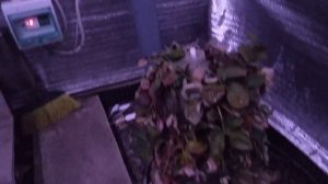 Заглубленная теплица . Устойчивость к морозу.