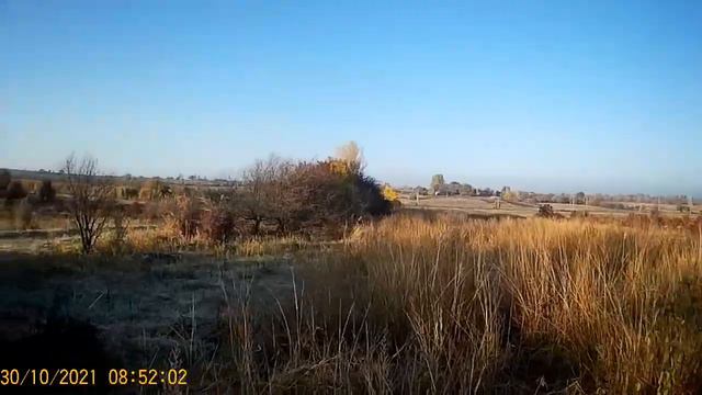 Охота на фазана 2021 смотреть онлайн