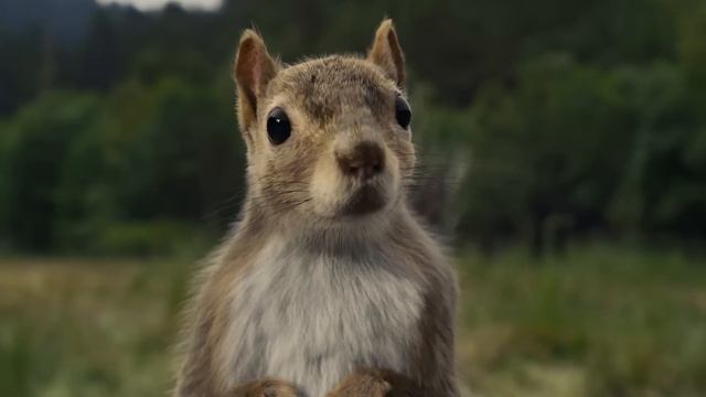 “Self-Aware Squirrel” :15 | Ask More of AI with Matthew McConaughey | Salesforce смотреть онлайн