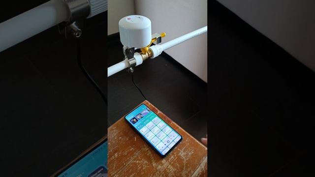 Электроклапан для воды и газа с подключением в Xiaomi Mi Home смотреть онлайн