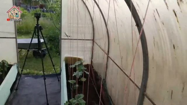 Моя система подвязки огурцов в теплице. DIY & DACHA. Ep 97. смотреть онлайн