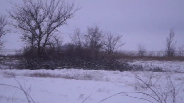 Охота на зайца. Тропление по снегу. Песни о охоте смотреть онлайн