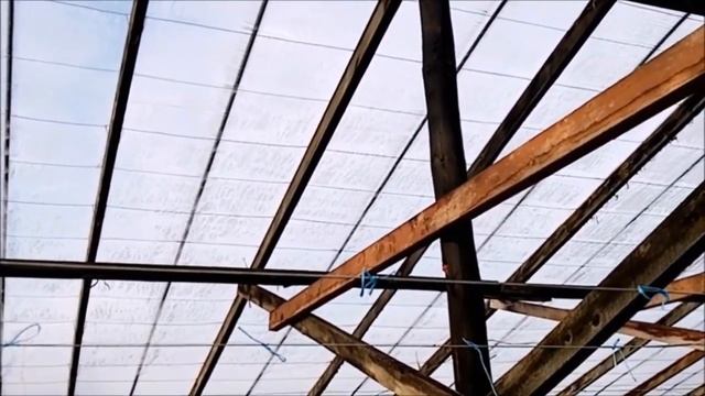 Редис после урагана Юлия, обзор деревянной теплицы смотреть онлайн