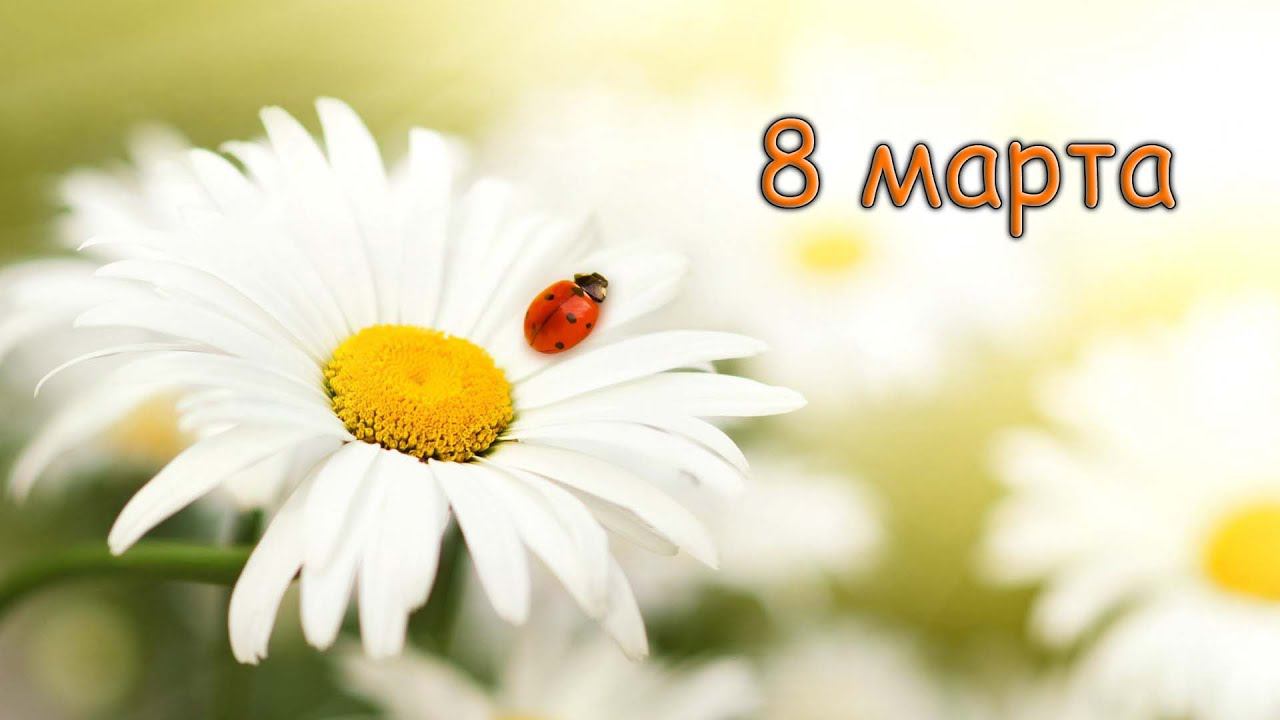 Концерт на 8 марта 2015 КДЦ смотреть онлайн