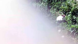 Откровения монаха и монахинь о жизни в монастырях,первая часть.