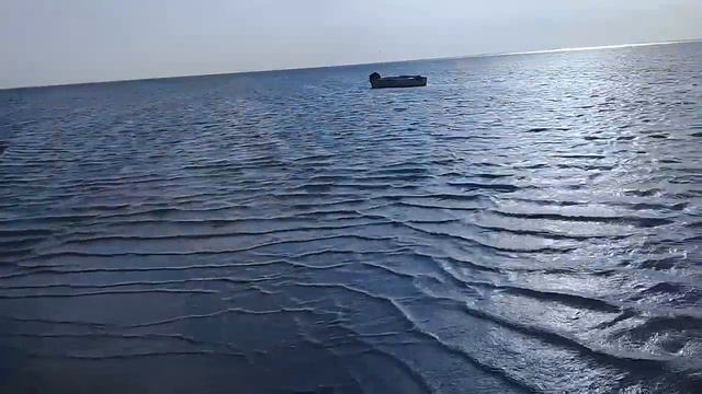 Арал теңізі 2019 смотреть онлайн