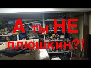 Синдром Плюшкина , синдром Диогена , патологическое накопление, Плюшкины