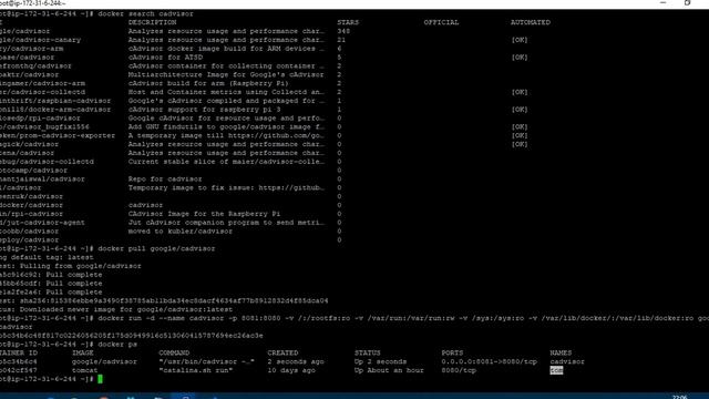 Monitor a docker container смотреть онлайн