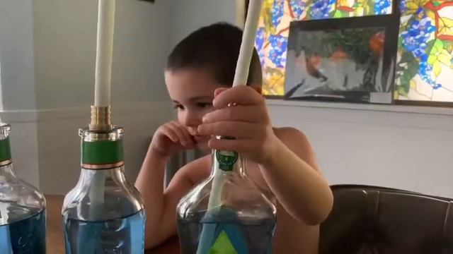 The day of tiki torch смотреть онлайн