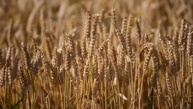 РАССЛАБЛЯЮЩАЯ МУЗЫКА || для медитации сна,спокойная смотреть онлайн