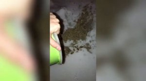 Как почистить электрический водонагреватель  aguaverso ( бойлер) и замена магниевого анода.