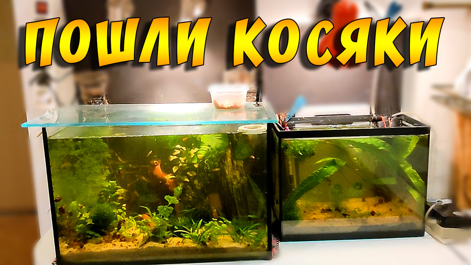 Беда была близко, но ее удалось миновать! смотреть онлайн