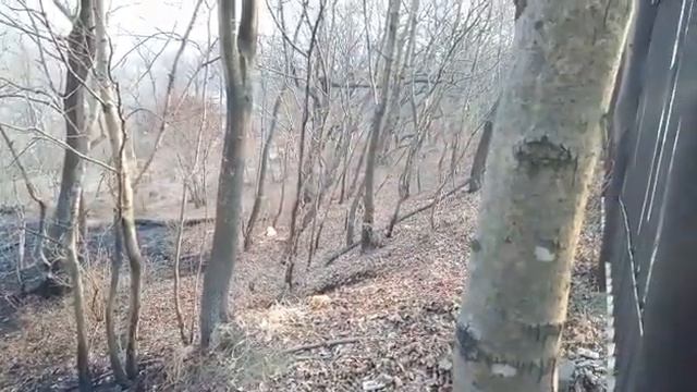 Во Владивостоке произошёл масштабный пожар в парке Минного городка - 3 смотреть онлайн