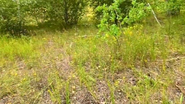 Пустыня посреди России смотреть онлайн