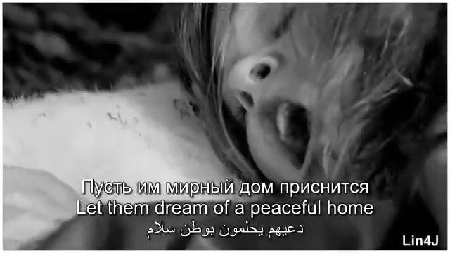 максим - птицы